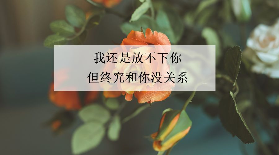 放不下的人